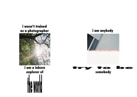 some film15.jpg